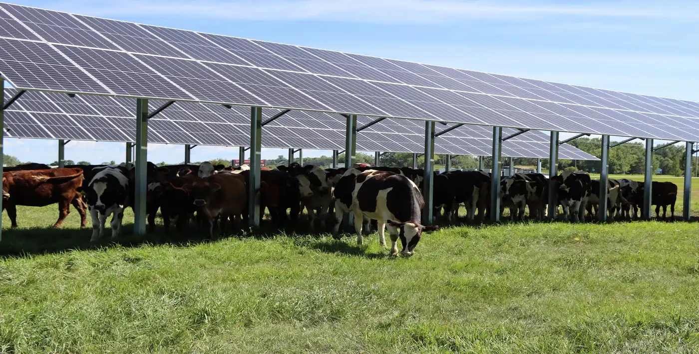 Commercial groundmount solar option